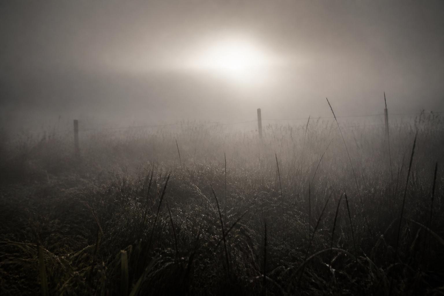 FCC OIG's Cross-Program Risk Model: A Funding Recipient's Reckoning